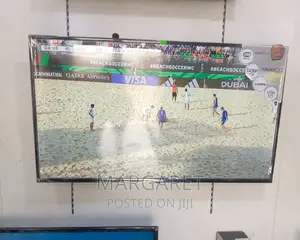 Nasco 42 Inches Digital Satellite TV Be
