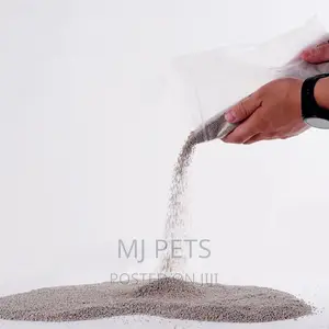 Bentonite Cat Litter Sand 10l