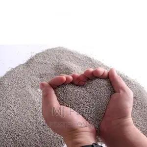 Bentonite Cat Litter Sand 10l