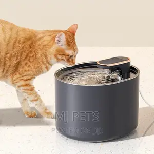 Electronic Pet Water Dispenser