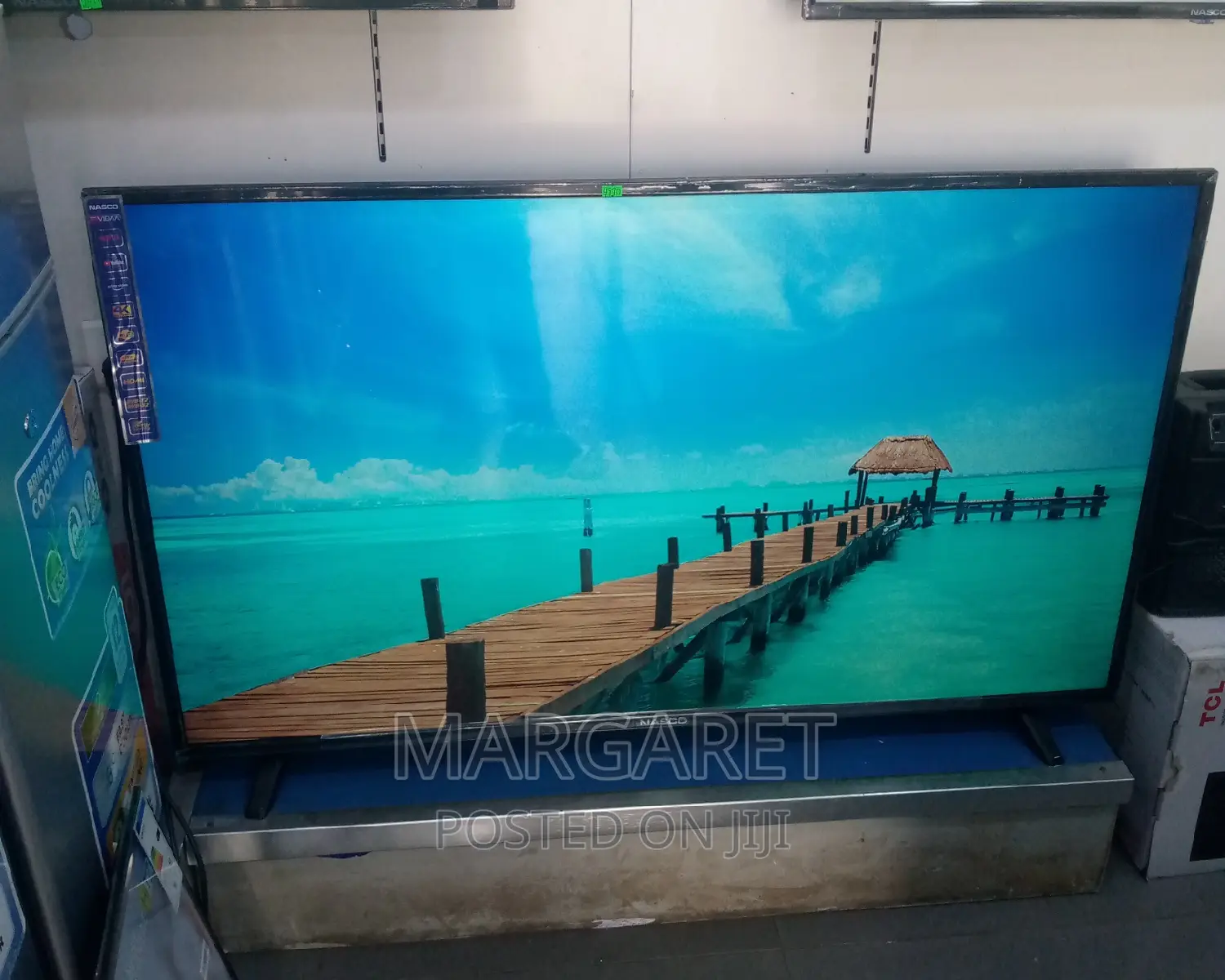 Nasco 55 Inches Digital Satellite TV Smart