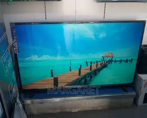 Nasco 55 Inches Digital Satellite TV Smart