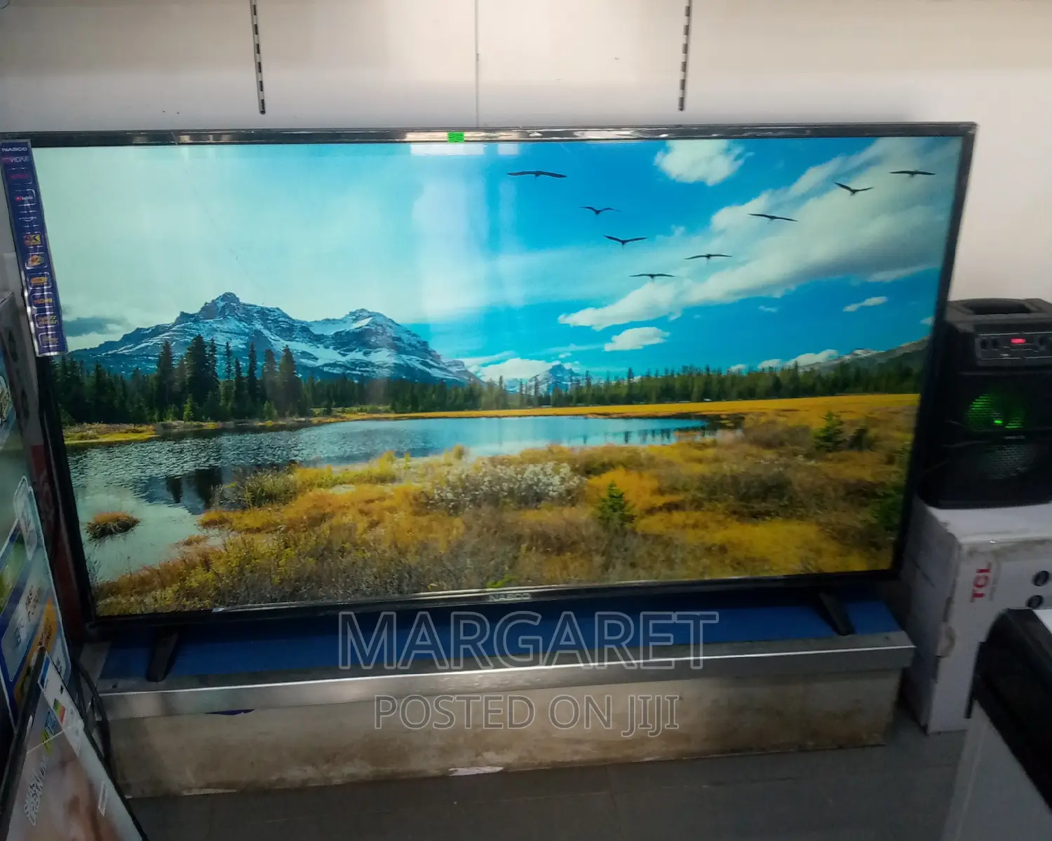 Nasco 55 Inches Digital Satellite TV Smart