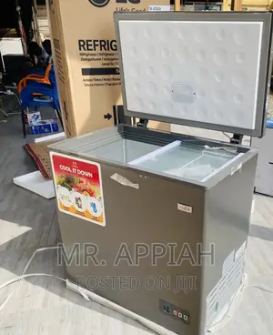 Anti-Rust Zara 260 Single Door Electric Freezer.