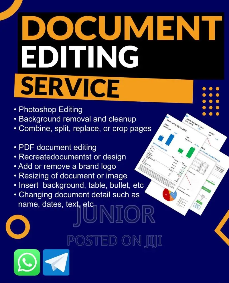 Professional Documents Editing