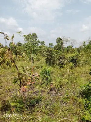 10,000 Acres of Farm Land for Sale or Lease