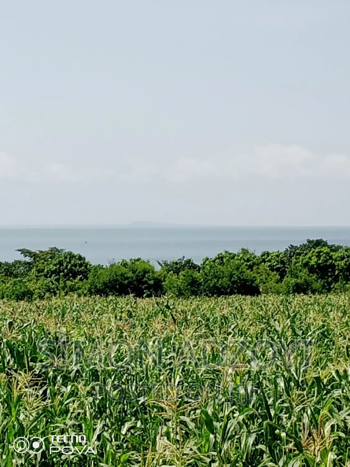 10,000 Acres of Farm Land for Sale or Lease