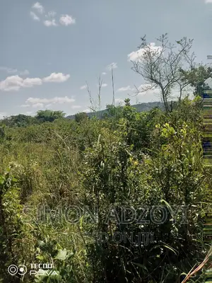10,000 Acres of Farm Land for Sale or Lease