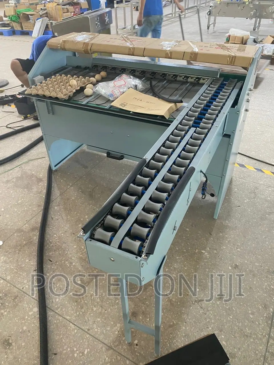 Egg Sorting /Grading Machine
