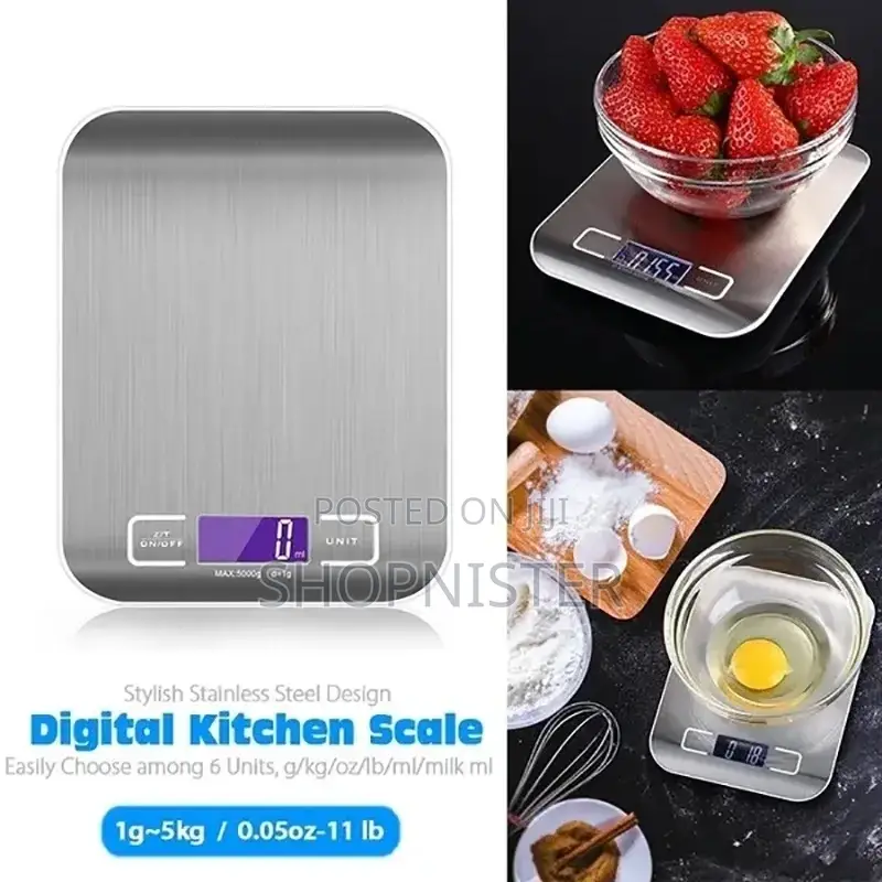 Portable Stainless Electronic 5kg Scale