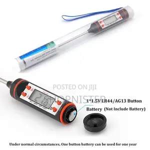 Portable Probe Thermometer