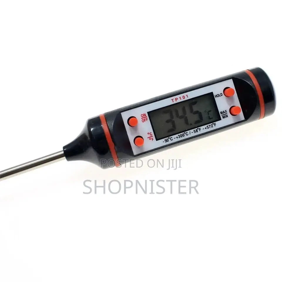 Portable Probe Thermometer