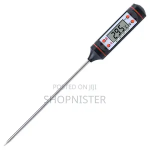 Portable Probe Thermometer
