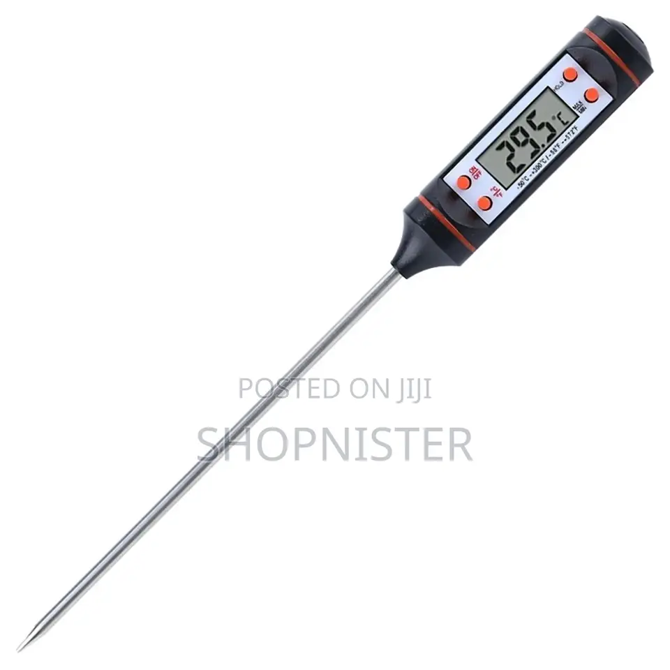 Portable Probe Thermometer