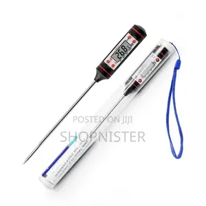 Portable Probe Thermometer
