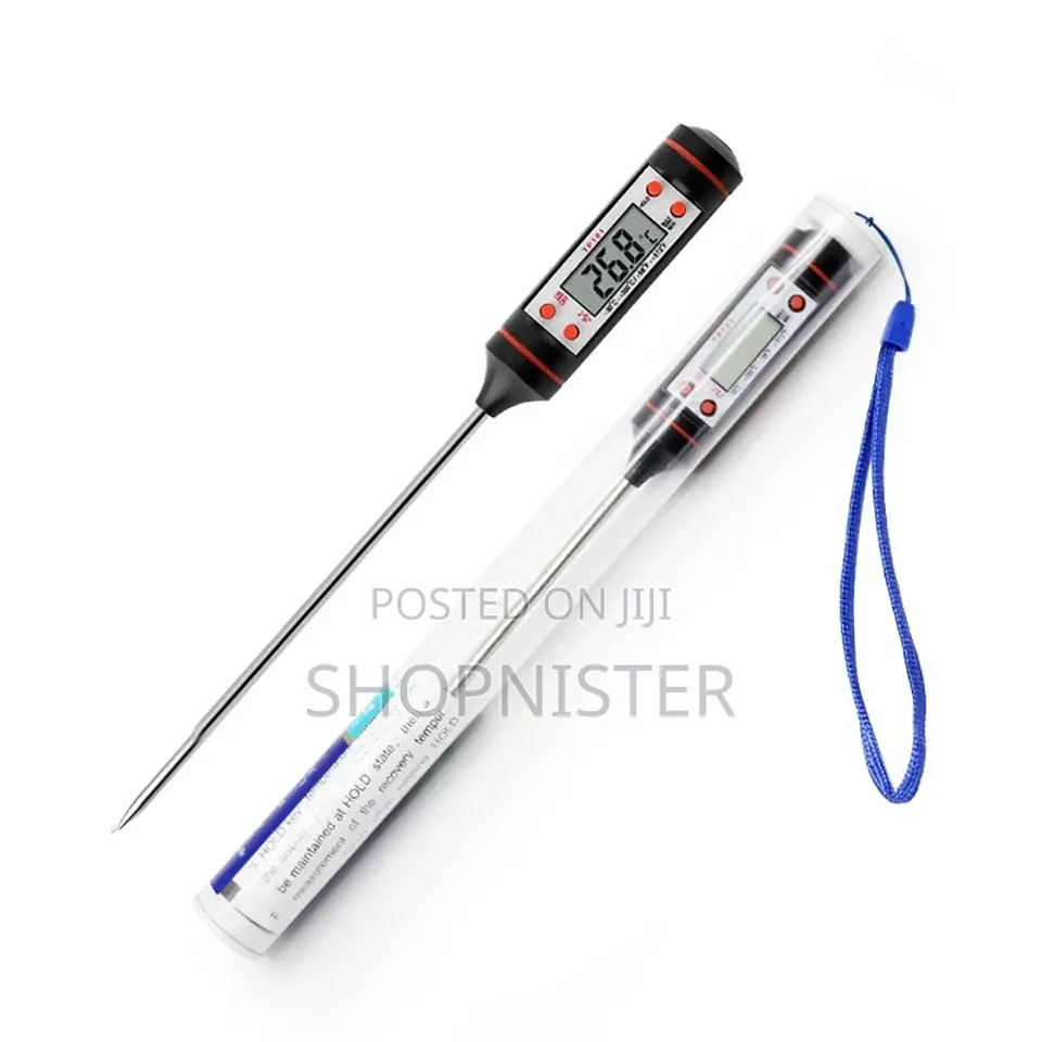 Portable Probe Thermometer