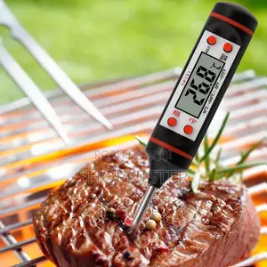 Portable Probe Thermometer