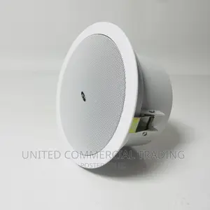 Ceiling Speaker