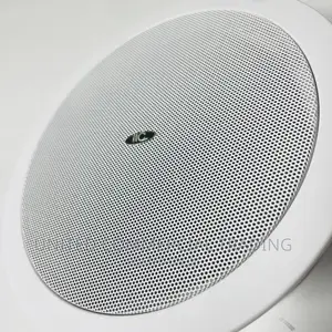 Ceiling Speaker