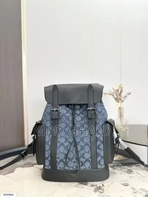 Louis Vuitton Back Pack