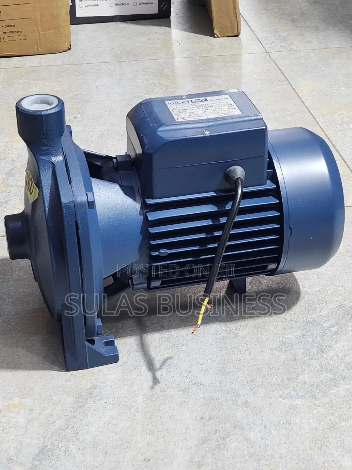 1.5 HP Pressure Pump Lucy PRO