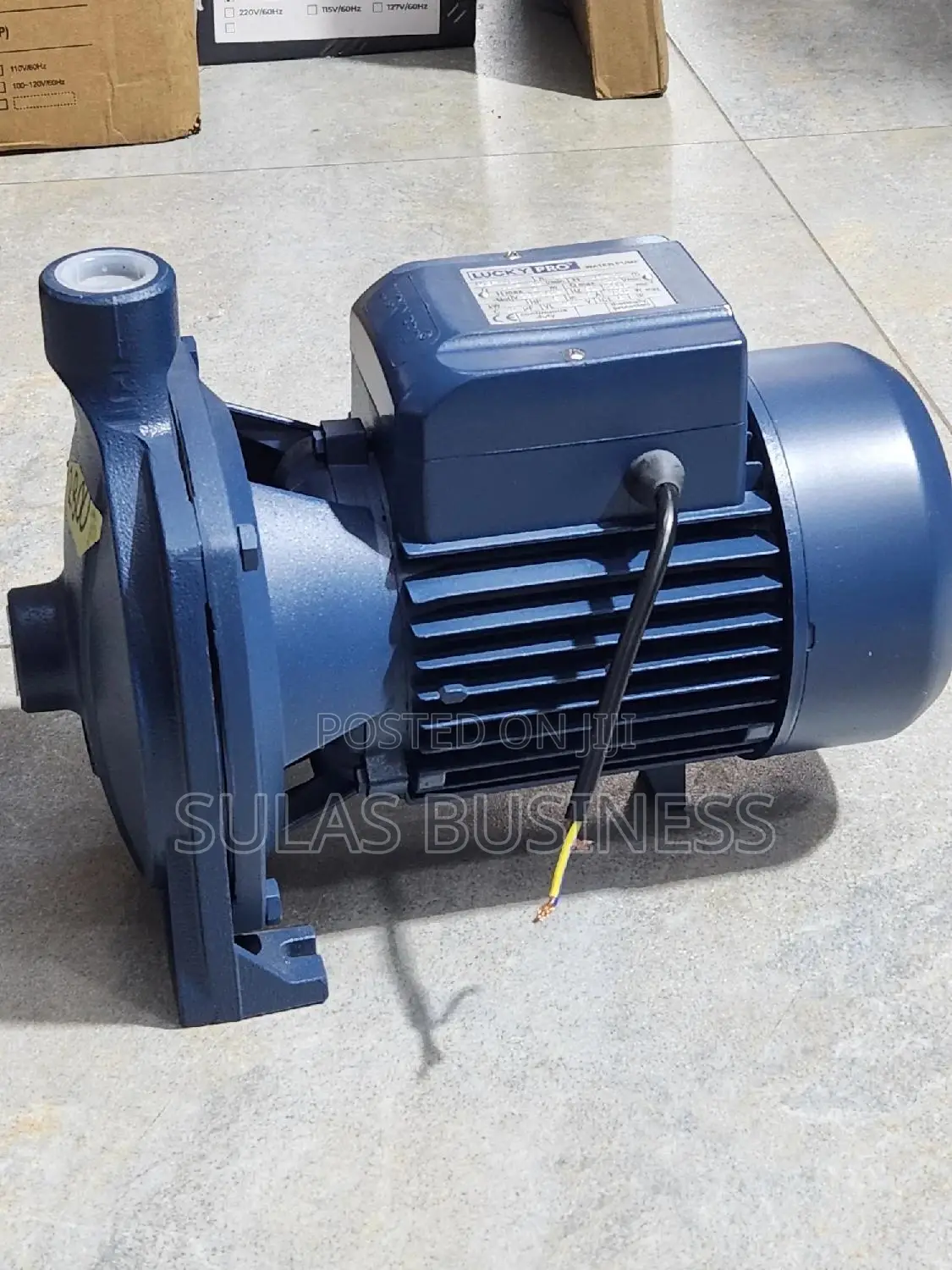 1.5 HP Pressure Pump Lucy PRO