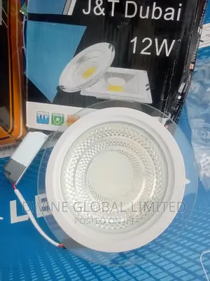 12W Glass Conduit Spot Light Warm + White