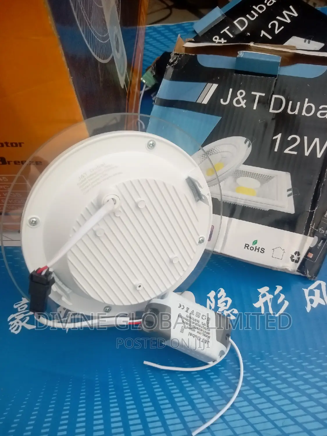 12W Glass Conduit Spot Light Warm + White