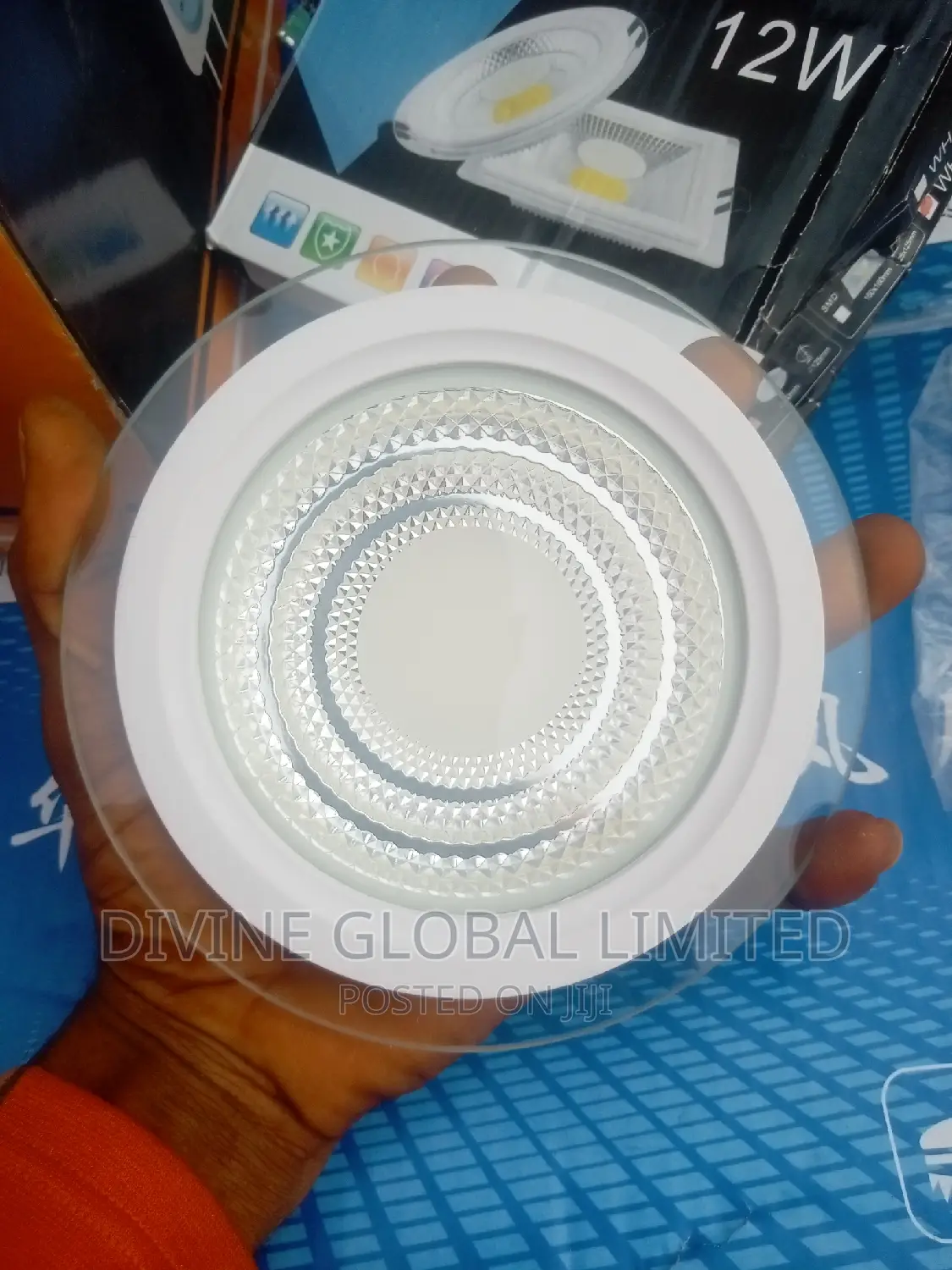 12W Glass Conduit Spot Light Warm + White