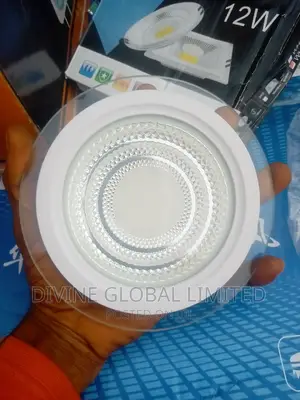 12W Glass Conduit Spot Light Warm + White