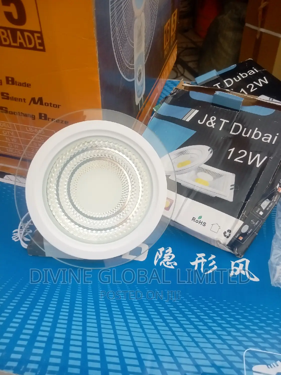 12W Glass Conduit Spot Light Warm + White