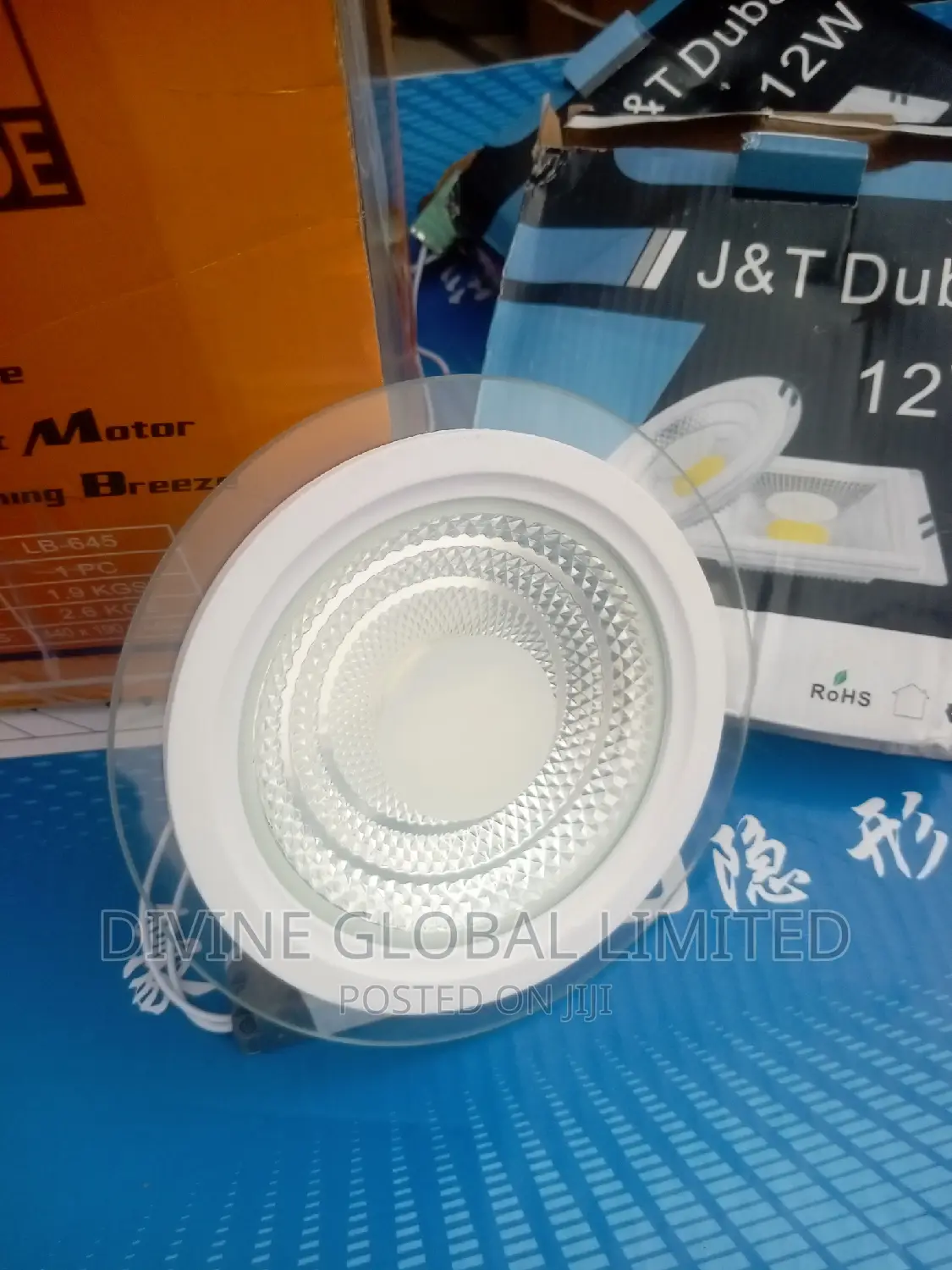 12W Glass Conduit Spot Light Warm + White