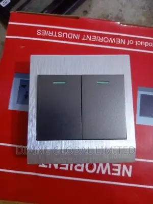 2 Gang Switch SILVER