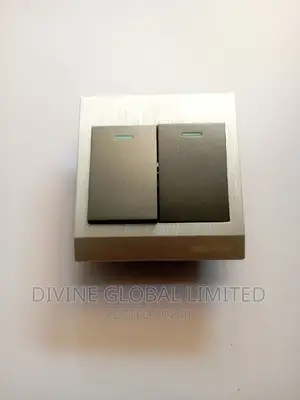 2 Gang Switch SILVER