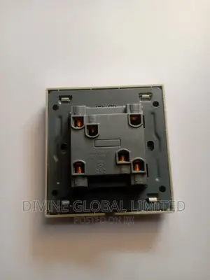2 Gang Switch SILVER