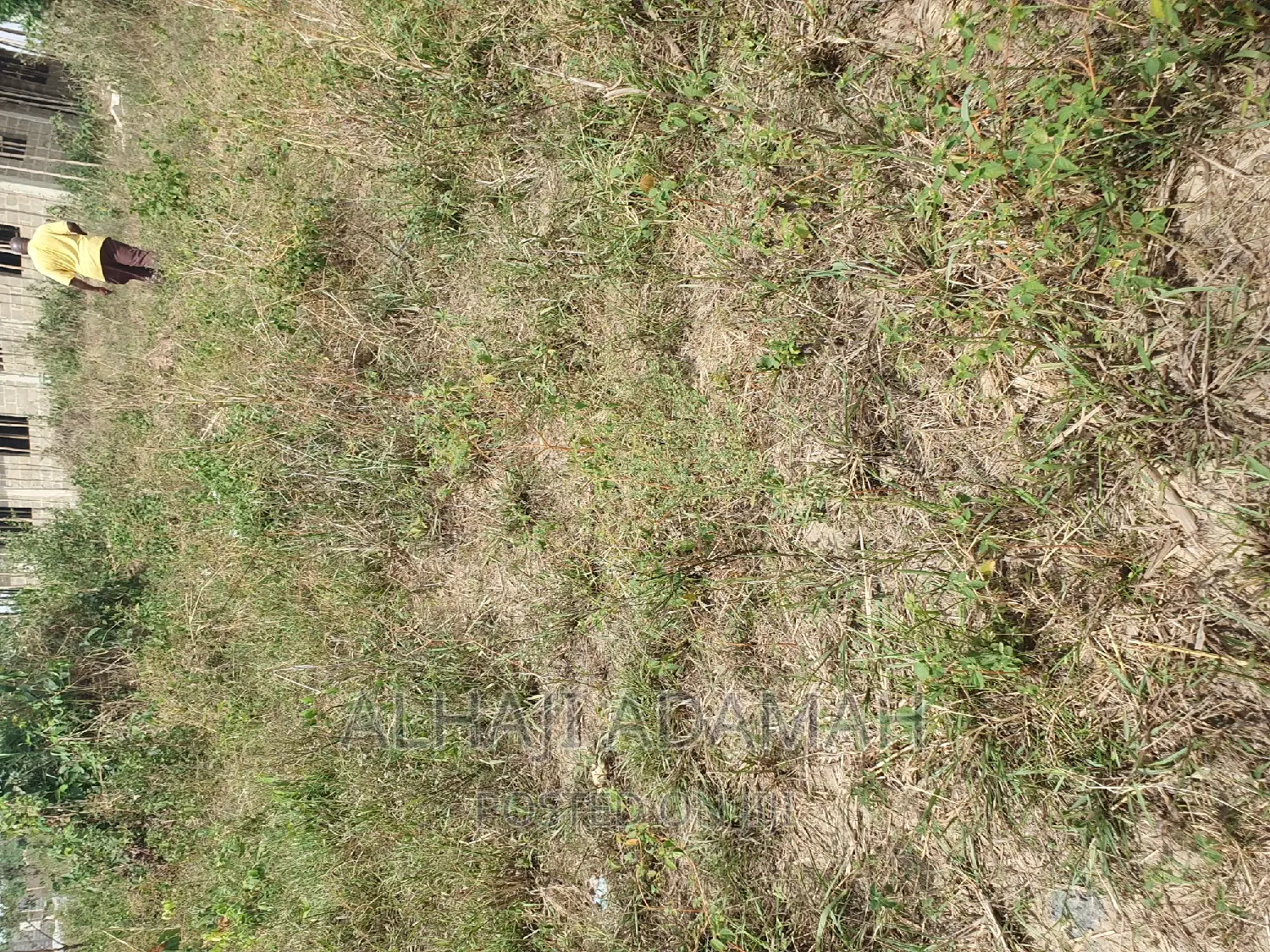 Half Plot for Sale at Brofuyedro Darko