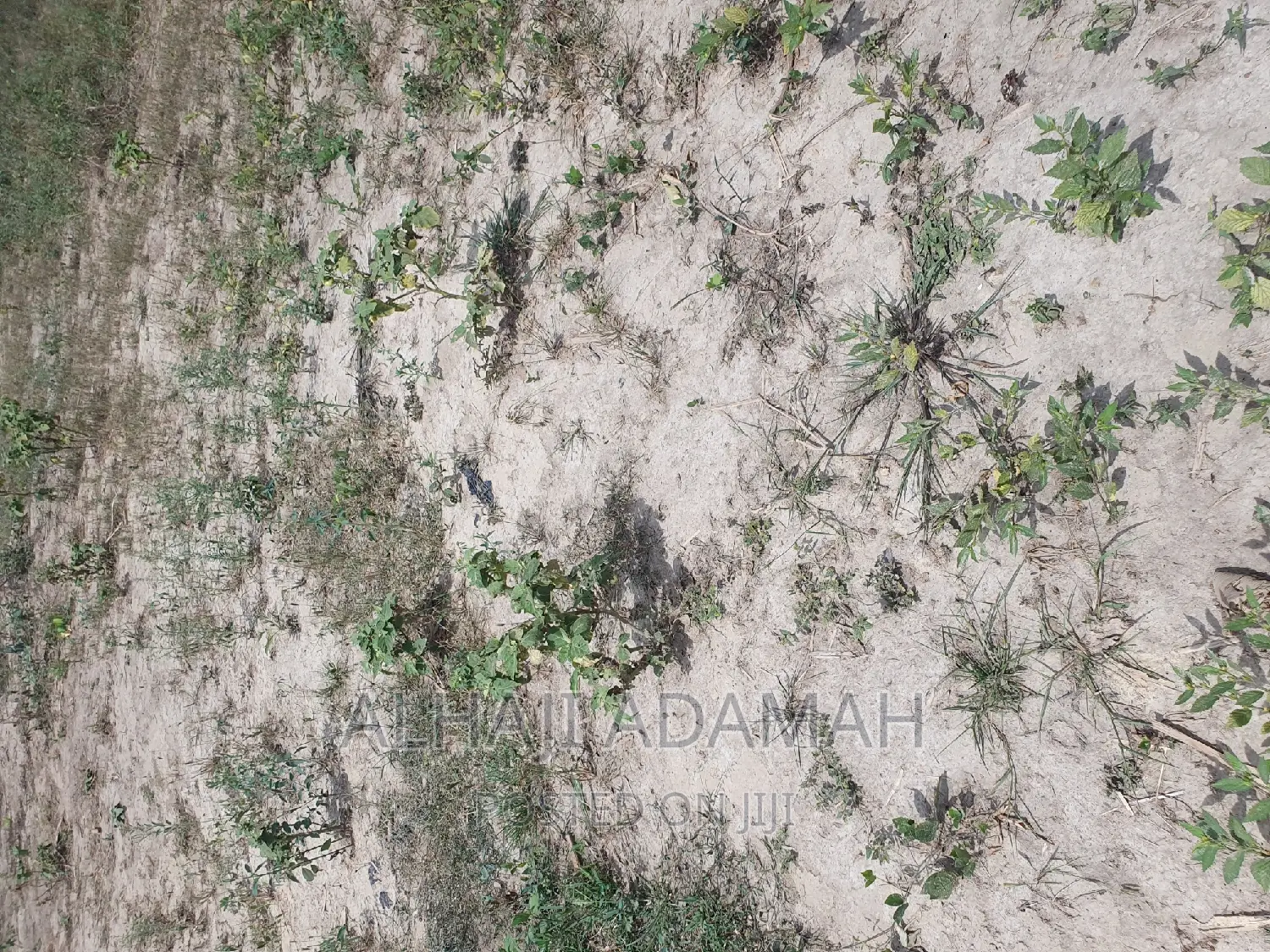 Half Plot for Sale at Brofuyedro Darko
