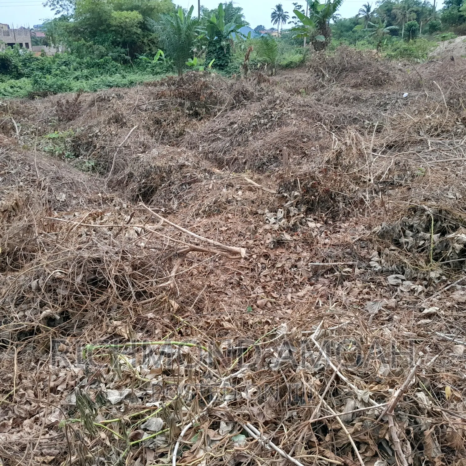 Half Plot for Sale at Mpintsin Plot Enterprise