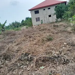 Half Plot for Sale at Mpintsin Plot Enterprise