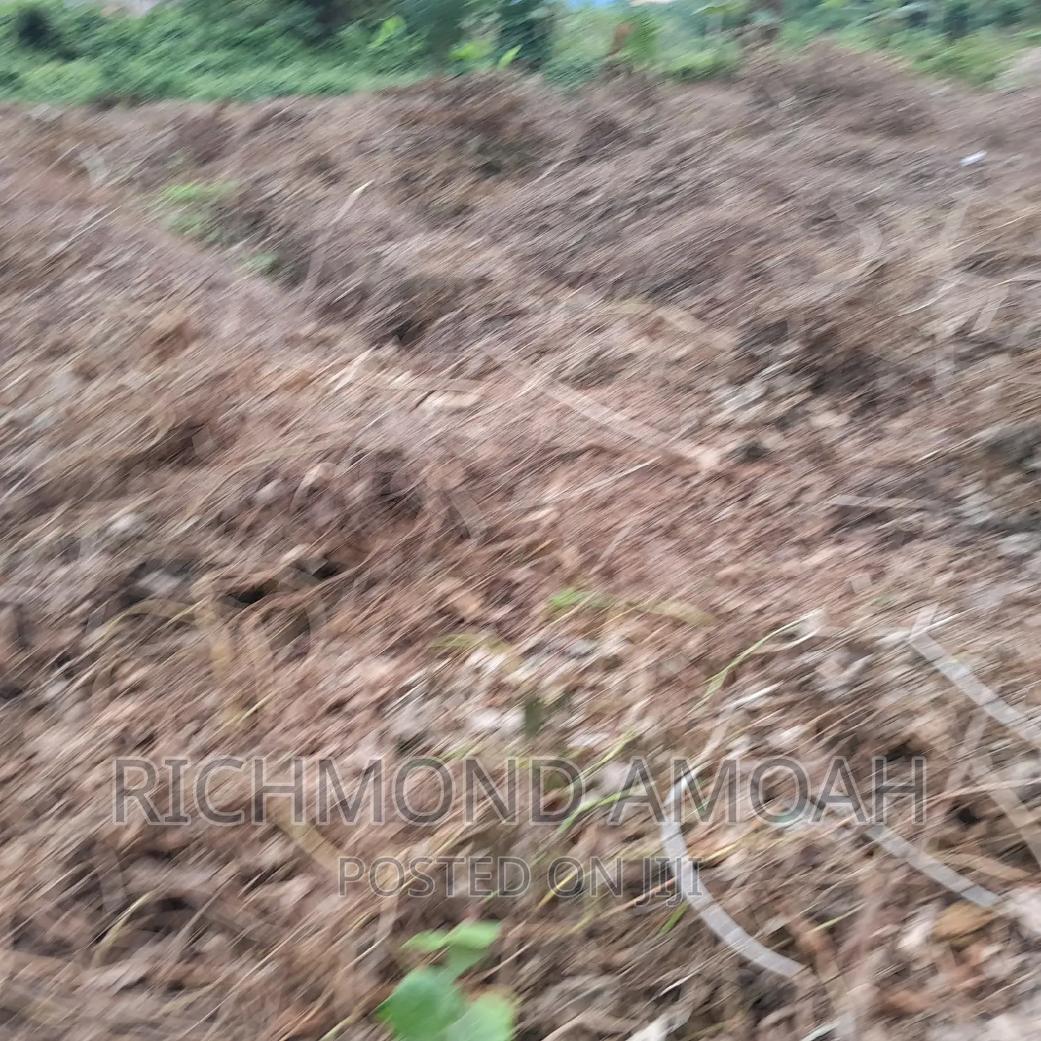 Half Plot for Sale at Mpintsin Plot Enterprise