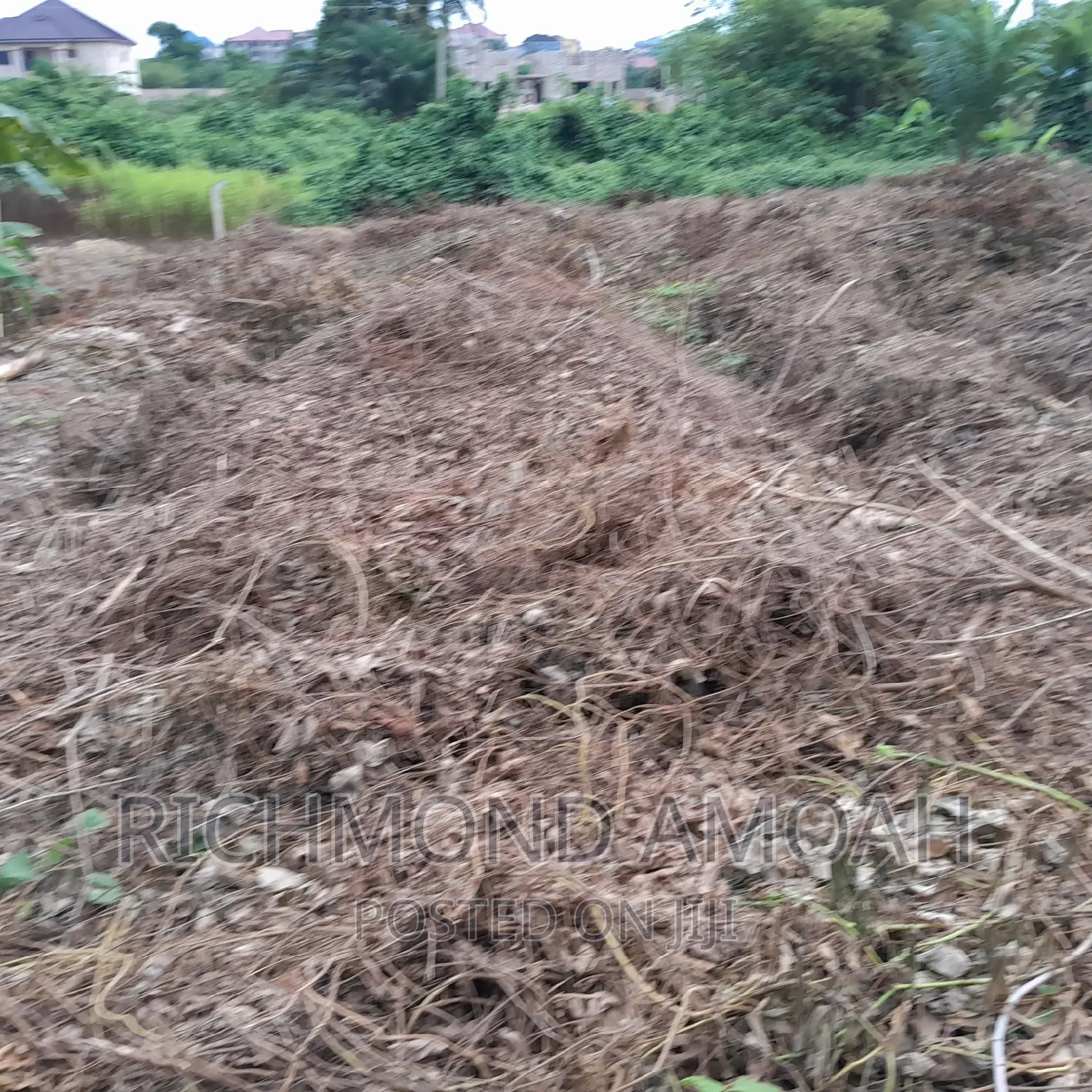 Half Plot for Sale at Mpintsin Plot Enterprise