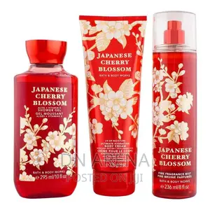 Mist Gel Lotion Set From Bath and Body Works Fragrances