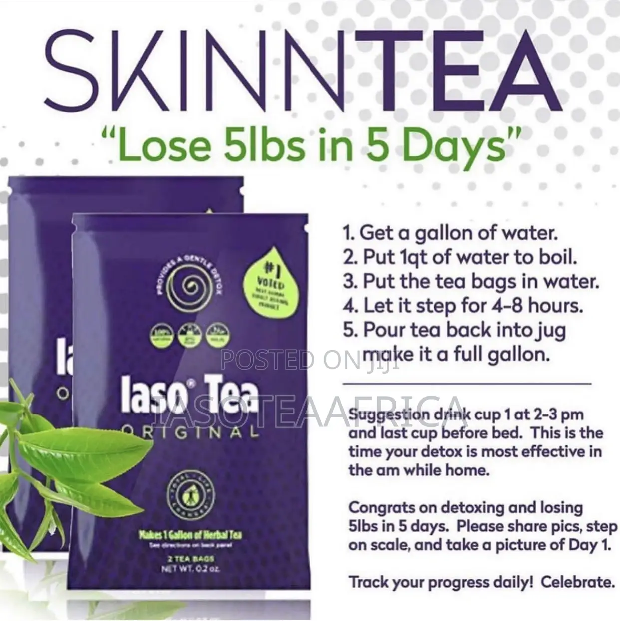Iasoteaafrica