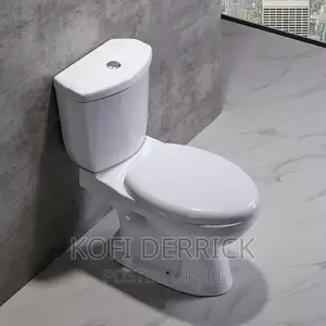 Toilet Seat S/P Strap