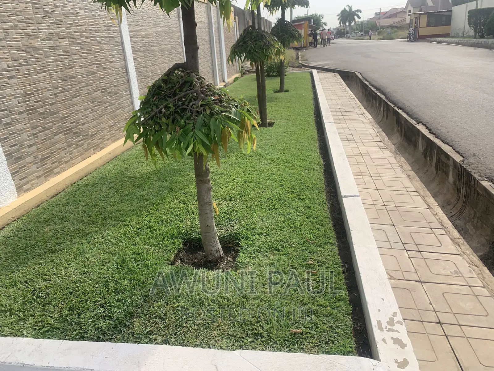 Professional Gardener