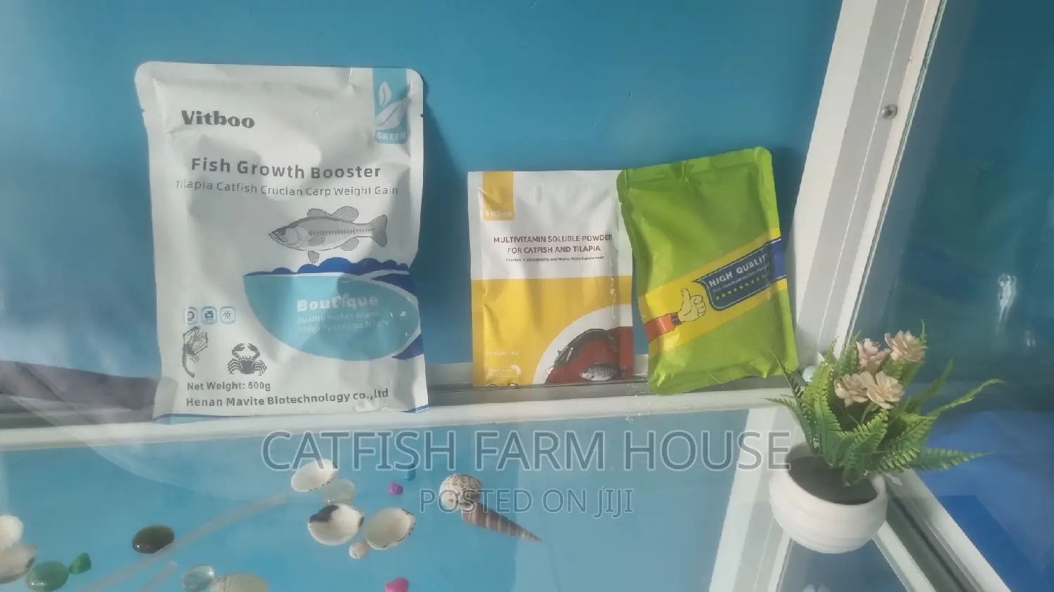 Catfish Multivitamin and Booster