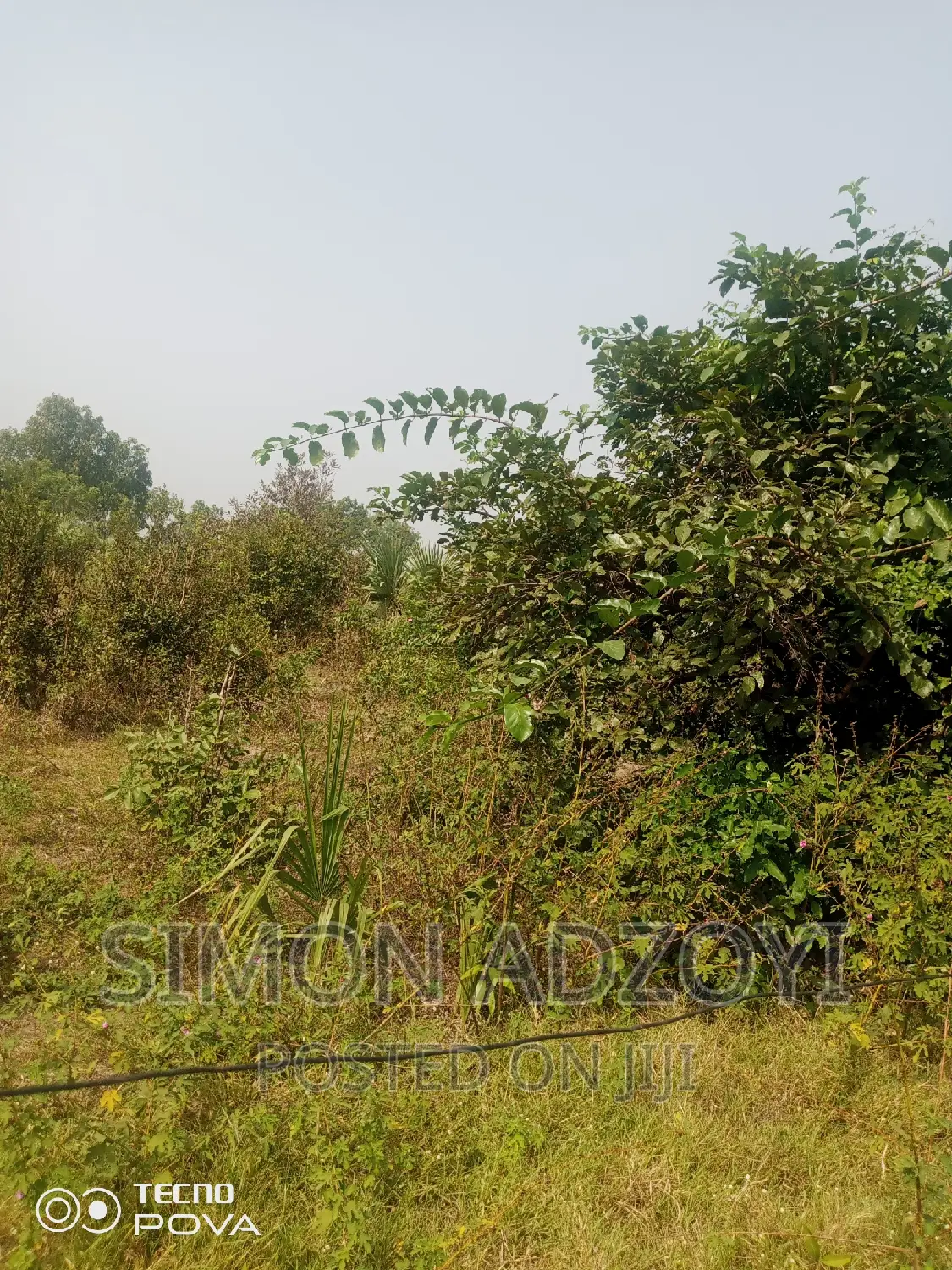 60,000 Acres of Farm Land in Kintampo