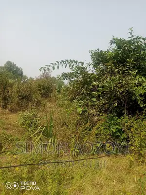 60,000 Acres of Farm Land in Kintampo
