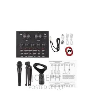 Professional Condenser Microphone