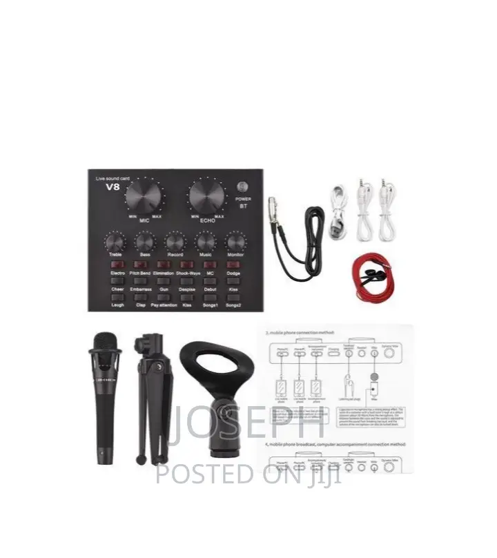 Professional Condenser Microphone